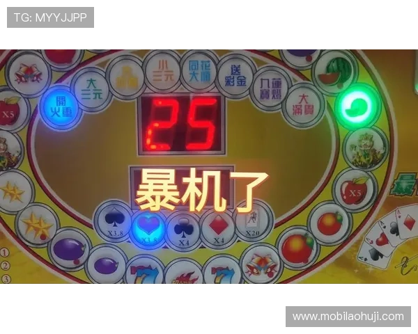 如何在老虎机专卖店中挑选高收益的老虎机设备与维护方案